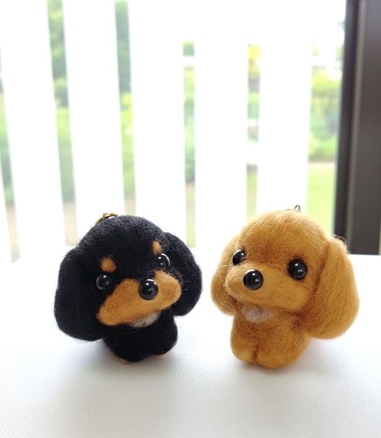 くろまめ。