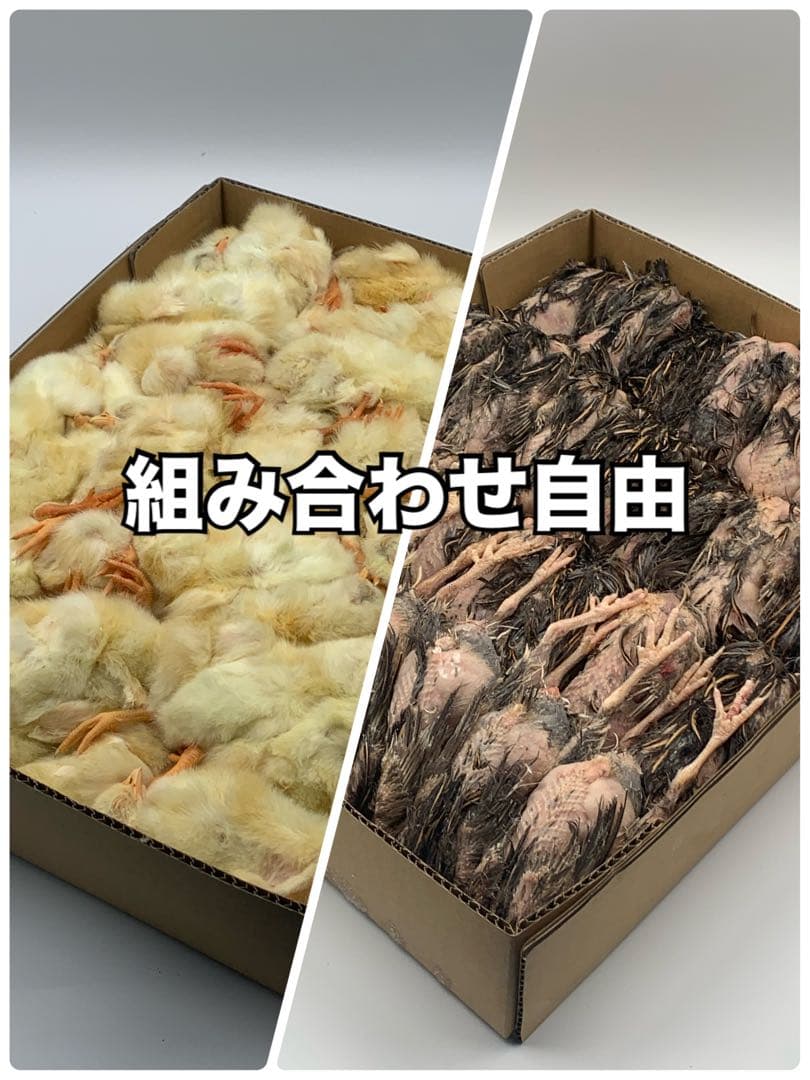 冷凍ヒヨコ5kg×6段【送料込】