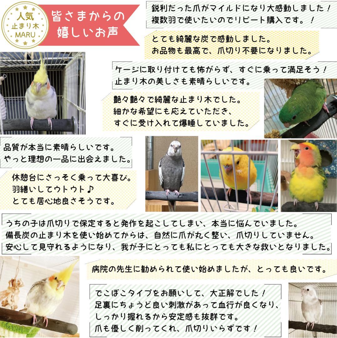 pilar ar様ご相談枠