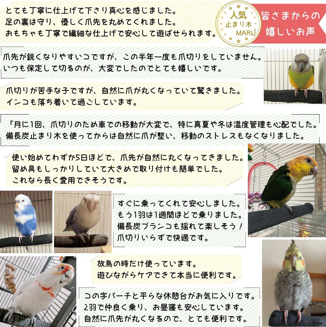 pilar ar様ご相談枠