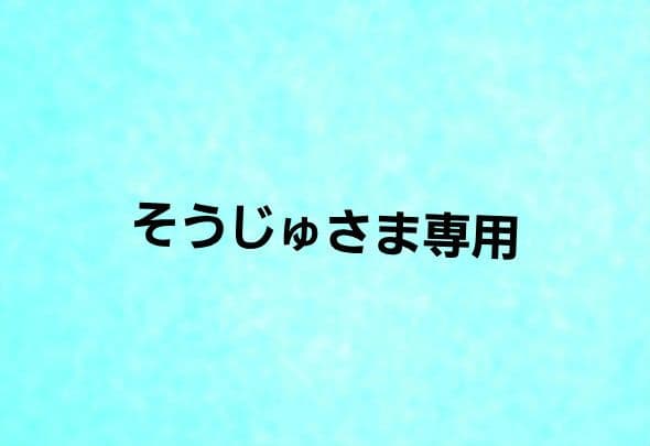 そうじゅさま専用