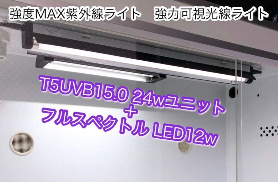 ポポライト