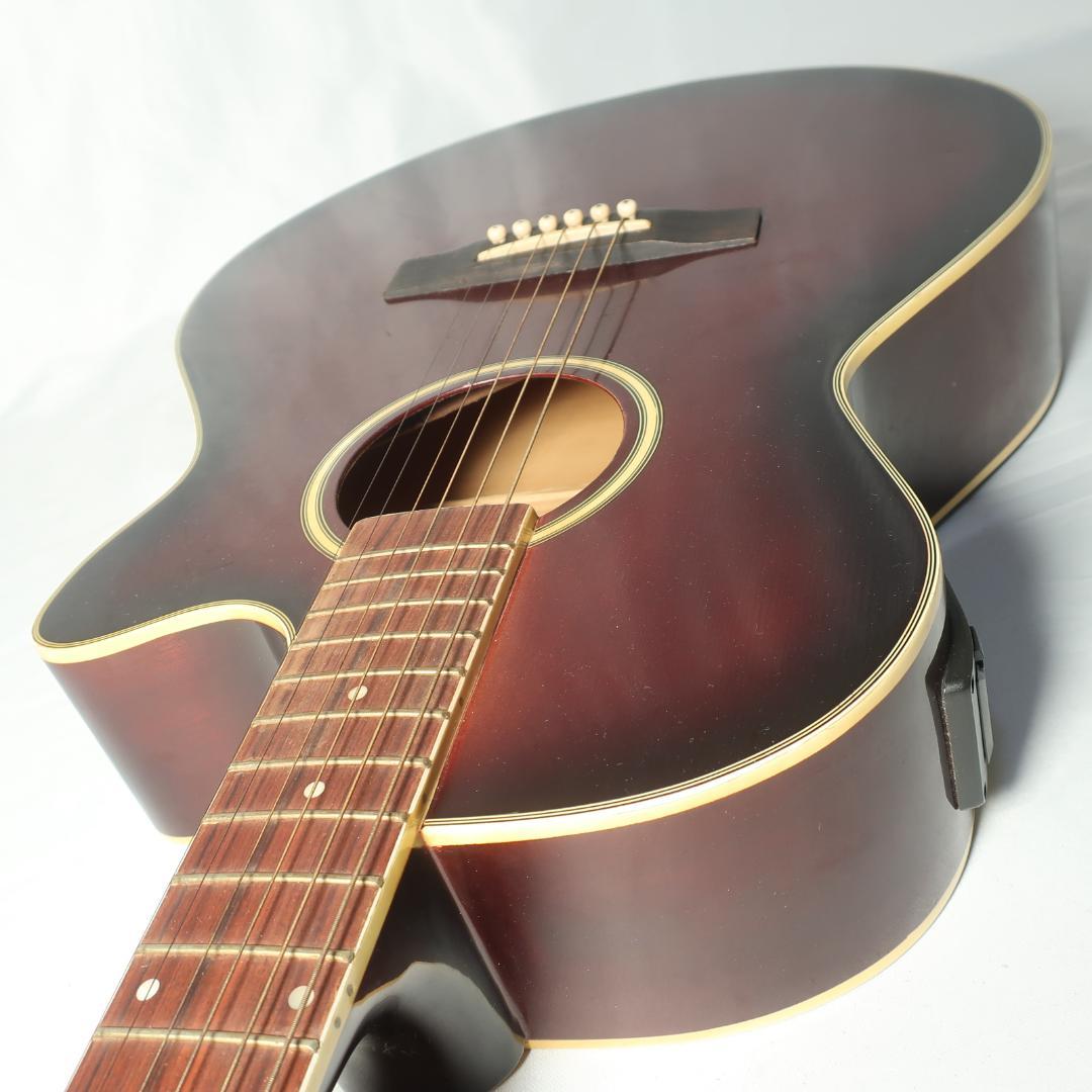 Pro Martin EAW-350 WRS エレアコ ギター ケース付