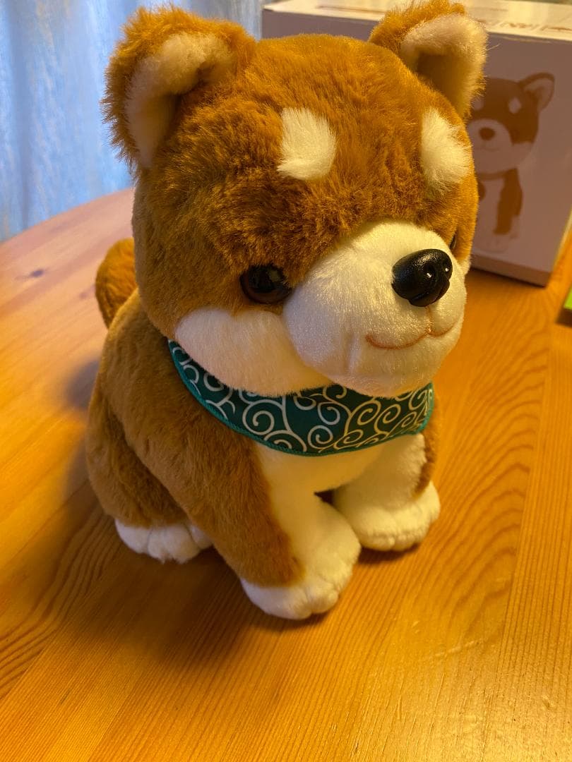 コウタ ぬいぐるみ バンダナ付き