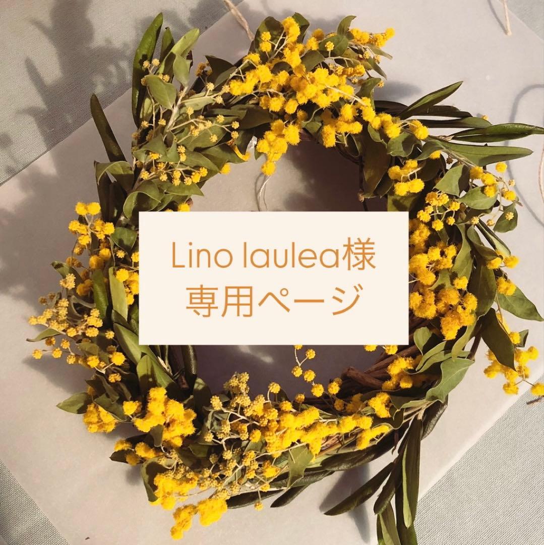◯Lino laulea