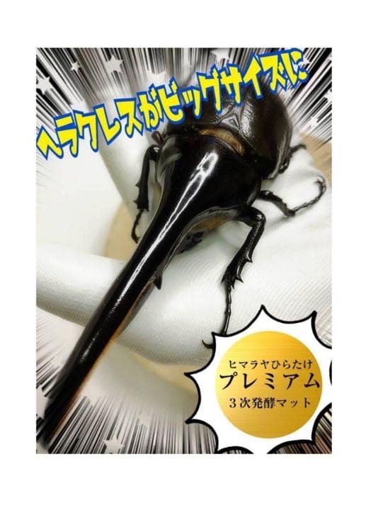 大人気！雑虫がわかない！完全室内製造！極上！プレミアム発酵カブトムシマット　5袋