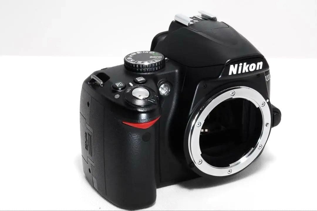 紅葉もキレイに撮れる✨ Nikon D3000 レンズキット 初心者も安心♥️
