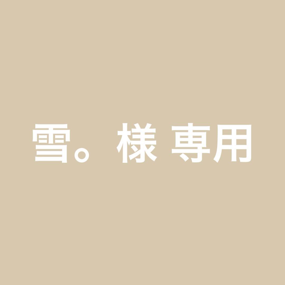 雪。ページ
