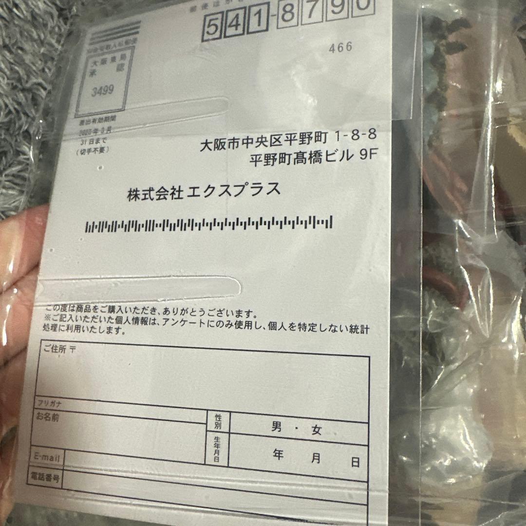 少年リック限定 エクスプラス 大怪獣シリーズ バードン ver.2
