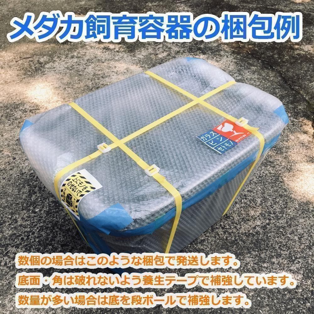 メダカ飼育ケース 75㍑x3個 黒・深緑あり オーバーフロー 金魚飼育容器