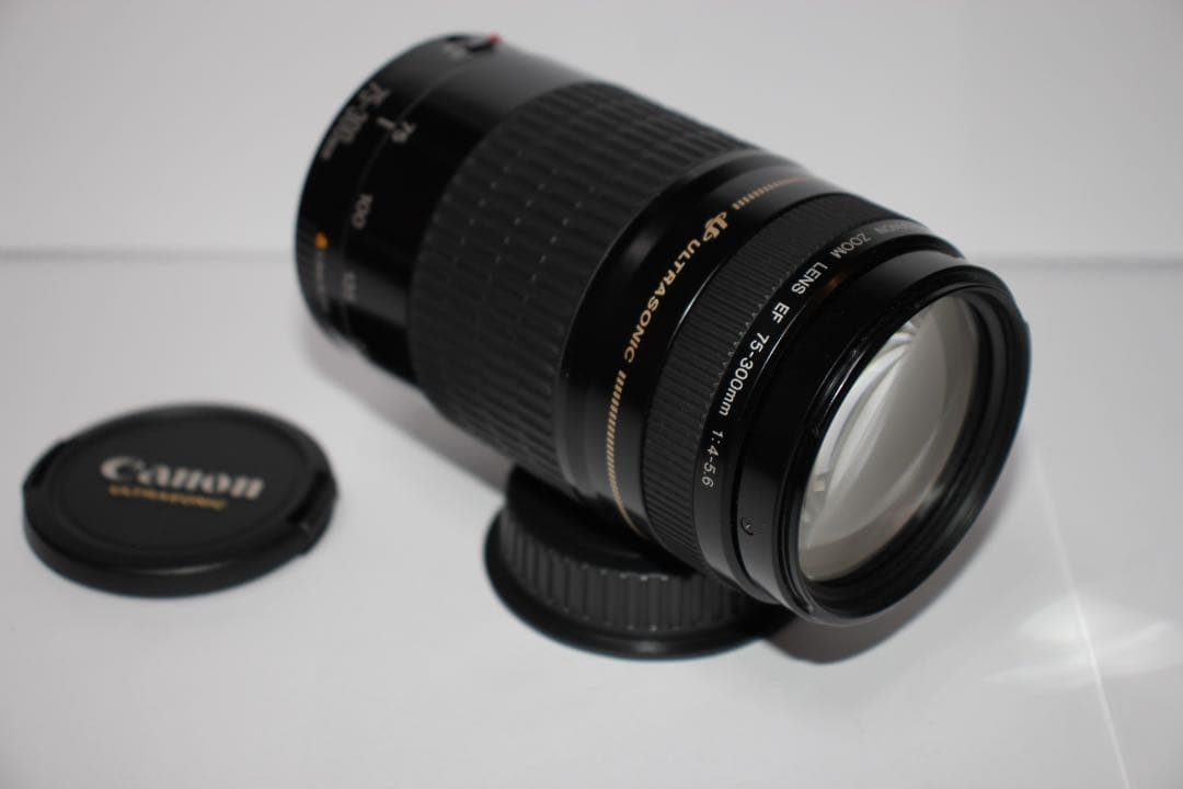 ☆フード付き☆望遠レンズ☆CANON EF 75-300㎜ F4-5.6☆