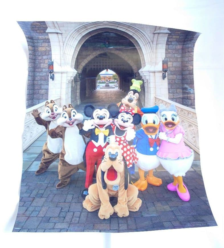ディズニーリゾート イマジニングザマジック フォト ポスター