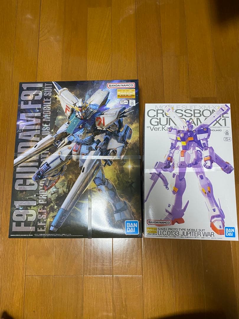 【本日発送可】 MG ガンダムF91 & クロスボーンガンダムX1 Ver.Ka