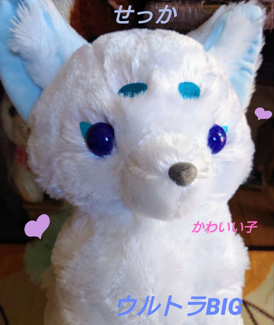 ちょコンと九尾キツネ せっか ウルトラBIG