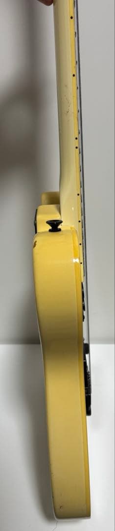 【希望価格募集】Fernandes TEJ BUCK-TICK 今井寿 限定