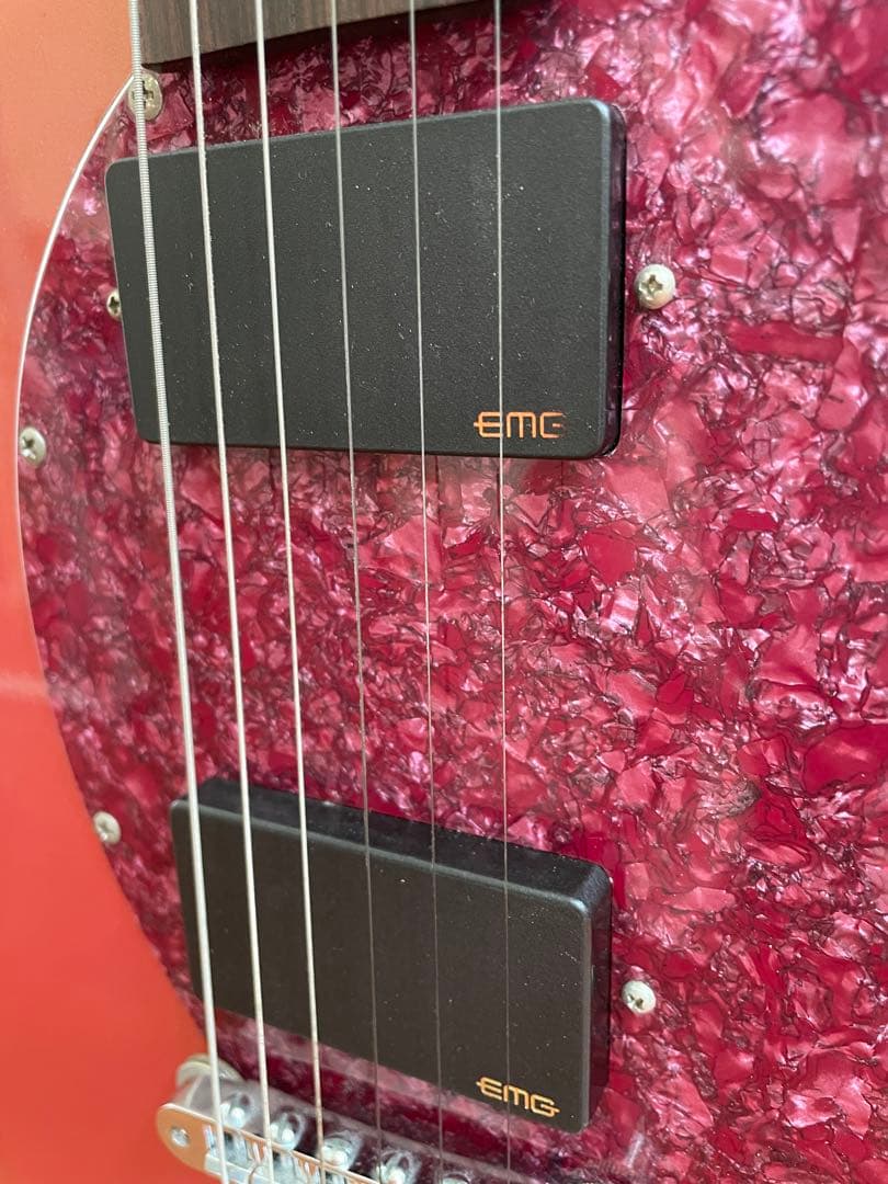 【訳あり】Fernandes Burny H-45 （シャチ）カスタム