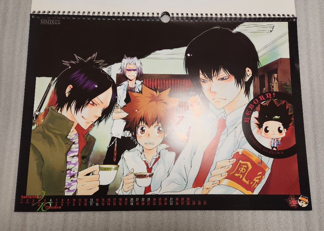 【希少品】家庭教師ヒットマンREBORN 2009年カレンダー