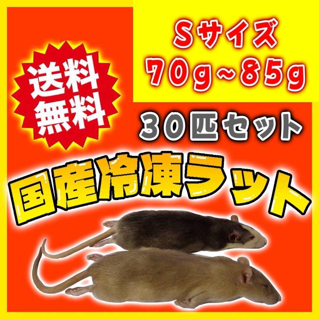 冷凍ラット 70~85g 30匹