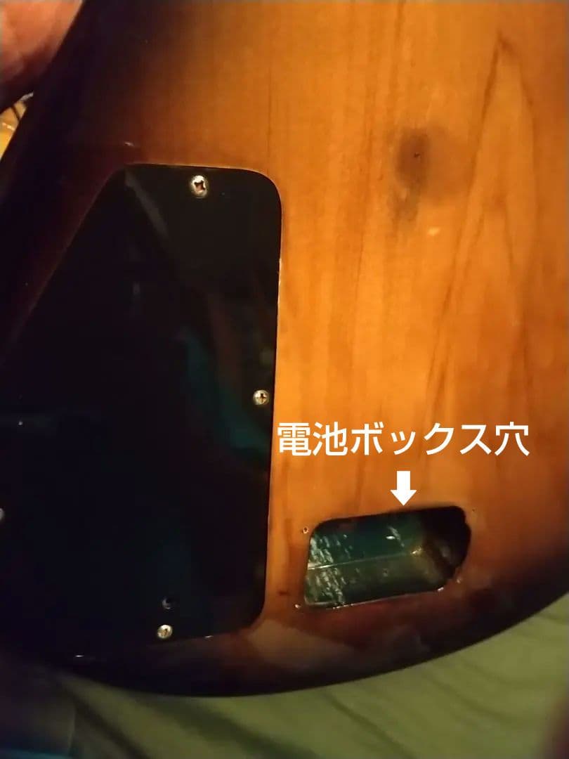 飛ぶ猫さま専用/ APG-55S 改造品/サステナーなし120サイズ