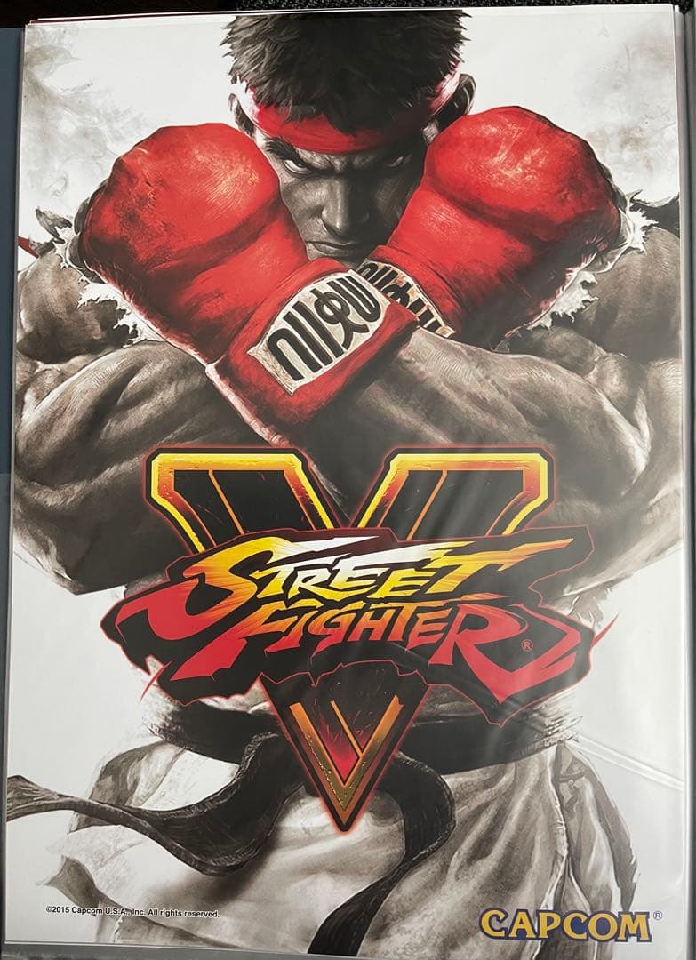 ストリートファイター リュウポスターby Artgermサイン入り