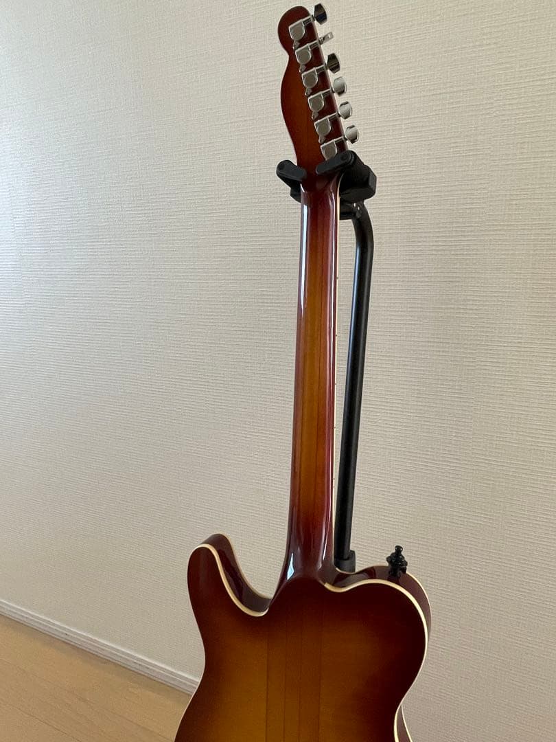 はちわれ様用絶版プレテクTL700deluxeテレキャスタイプ スルーネックエレ