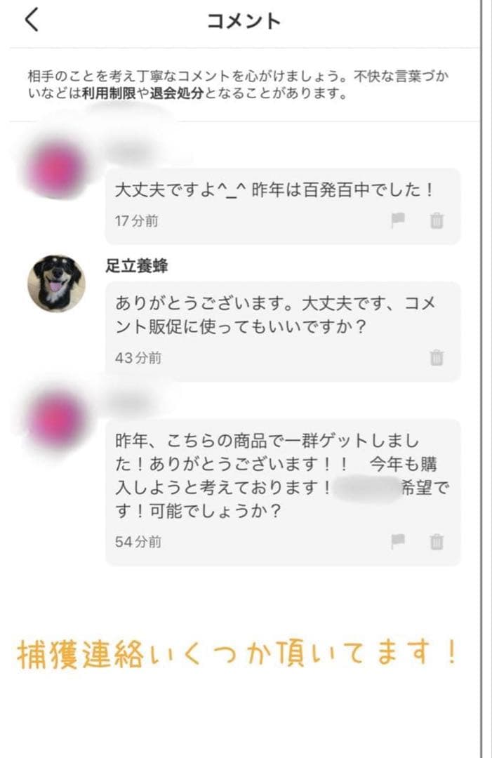 ミツバチ誘引剤 5個セット ミツバチ誘引ルアー 養蜂を始める方に