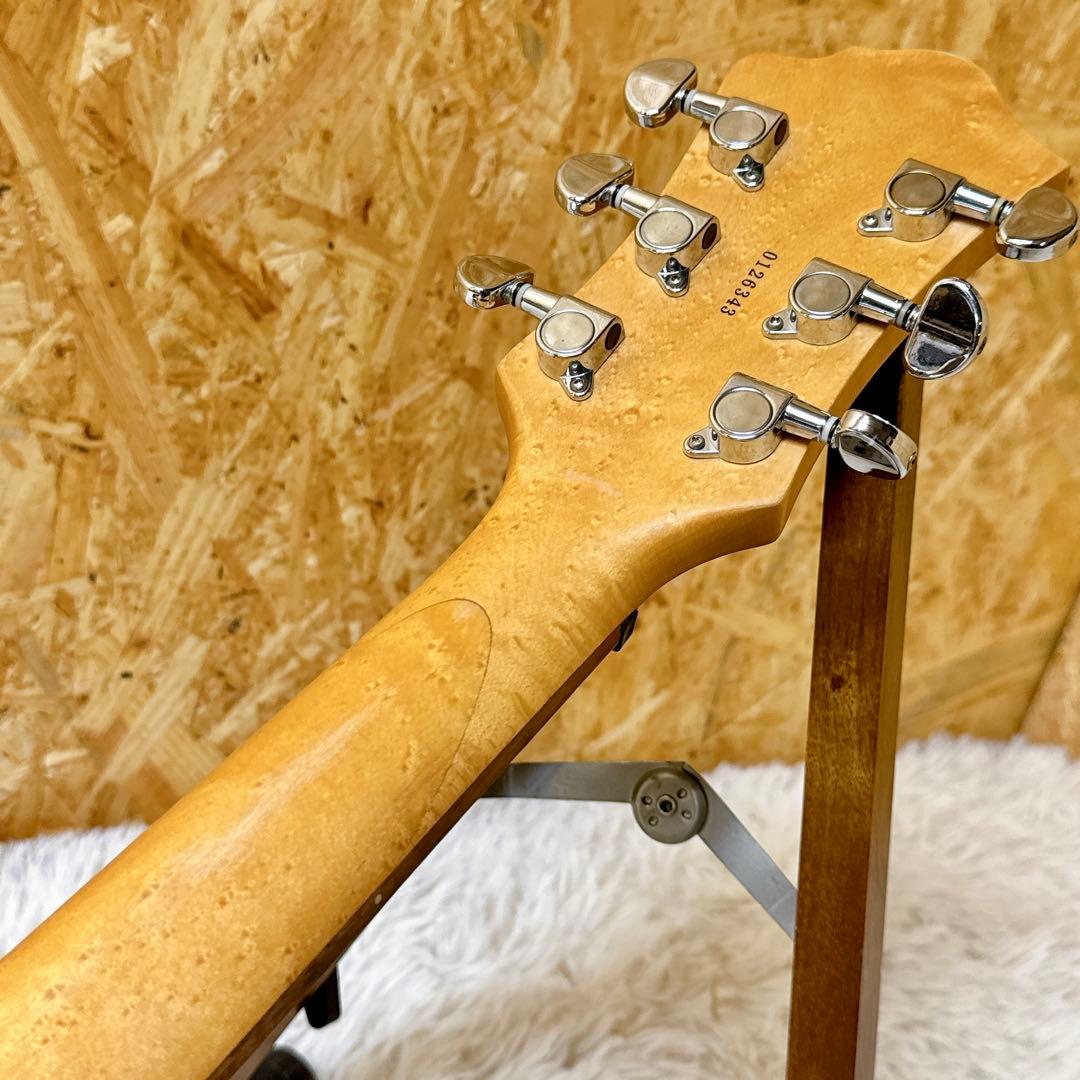 激キルトトップ&バーズアイ B.C.Rich/BCリッチ Marion/マリオン