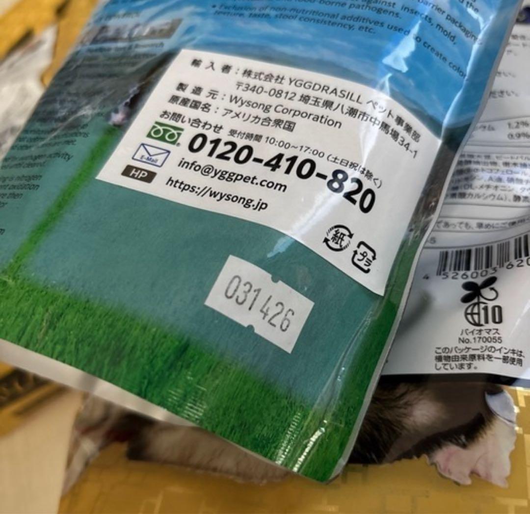 うるふ☺︎ 購入お願いします