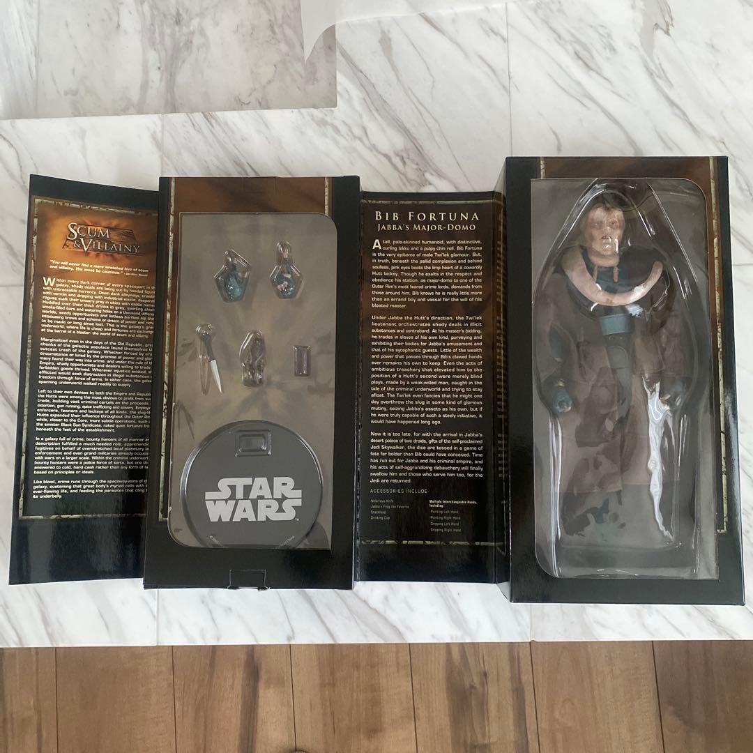 Star Wars ビブフォーチュナ