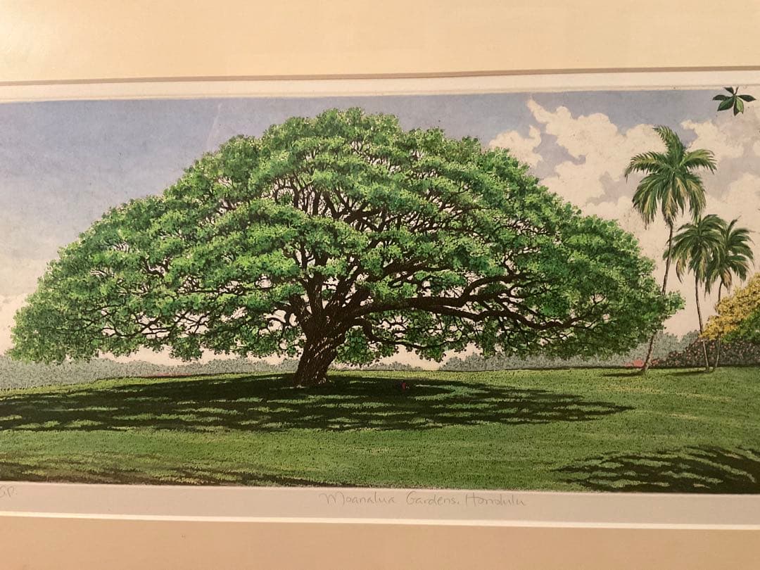 キャロルコレット「MOANALUA GARDEN 」銅版画＋手彩色　直筆サイン有