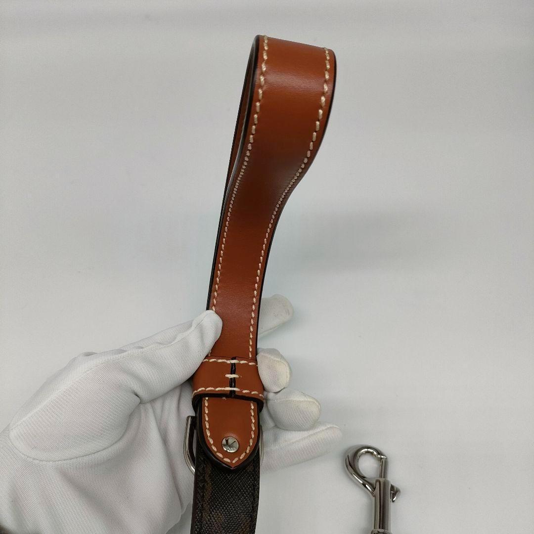 【新品未使用・現行品】セリーヌ リード シン ドッグリーシュ レザー