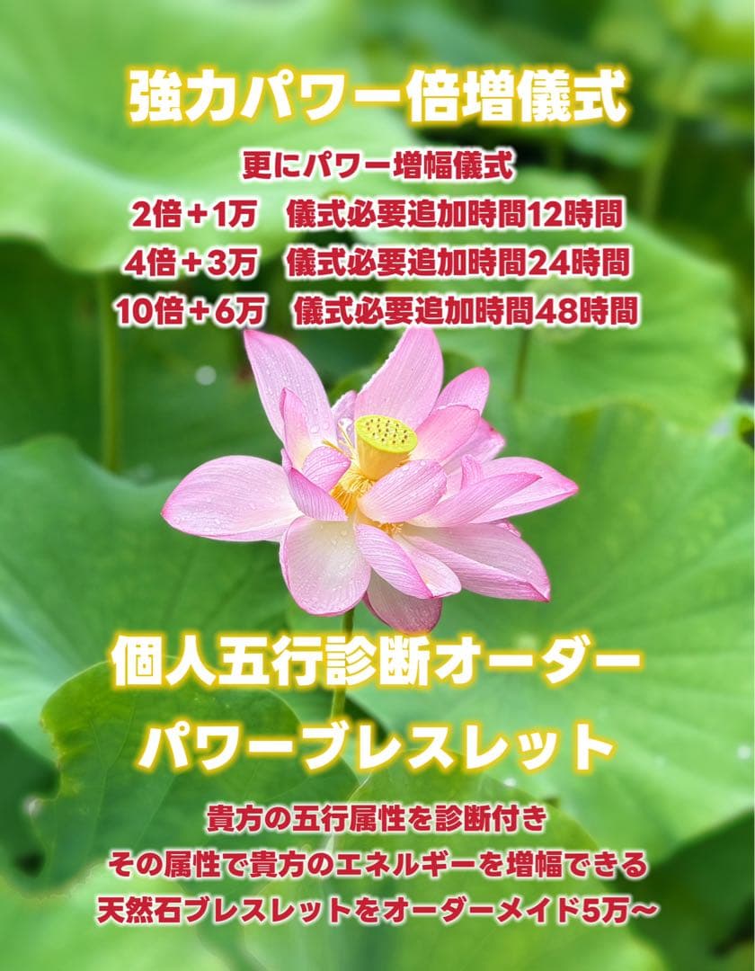 陽だまり商店2点