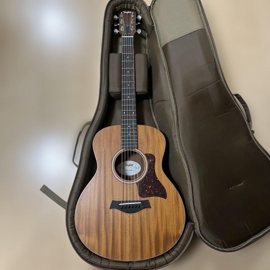 Taylor GS Mini ケース付