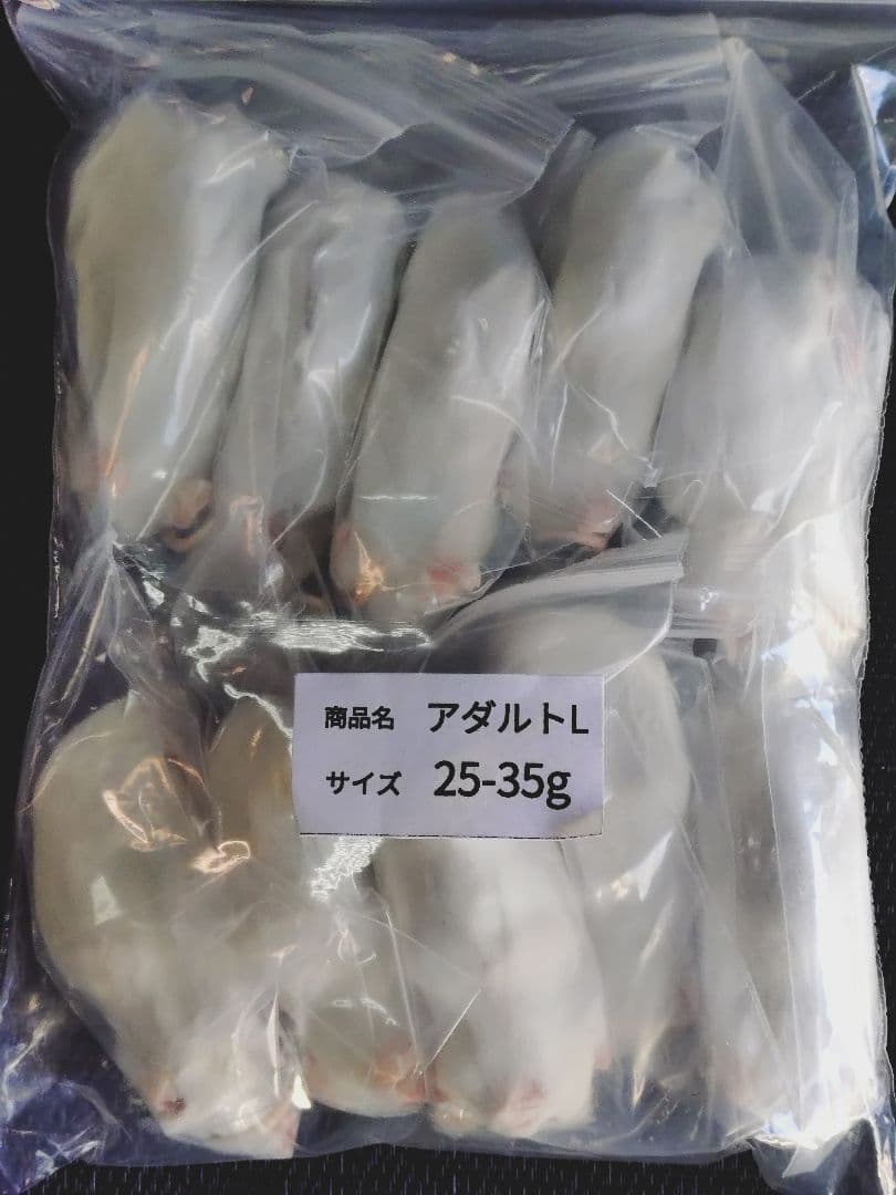 送料無料 冷凍マウスアダルトＬ100匹