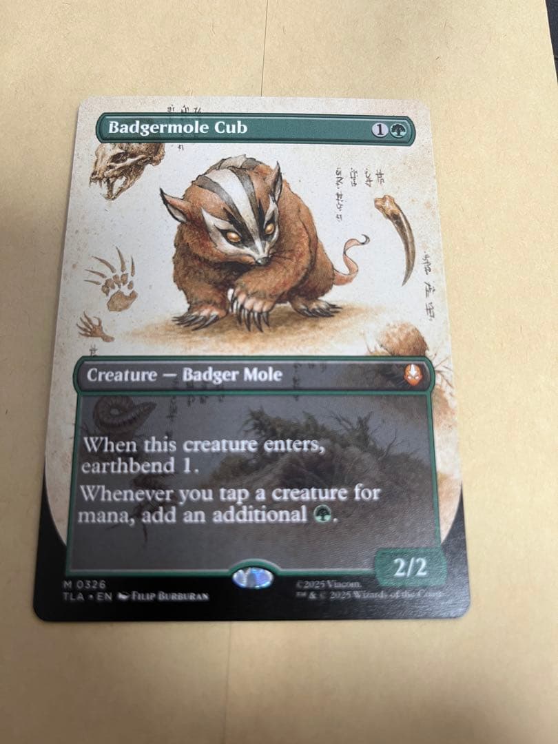 MTG アナグマモグラの仔　拡張　英語　1枚