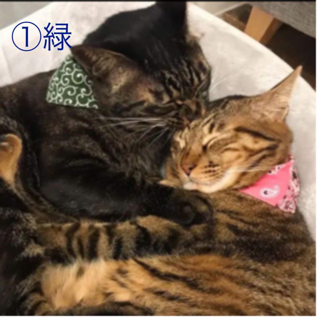 唐草模様