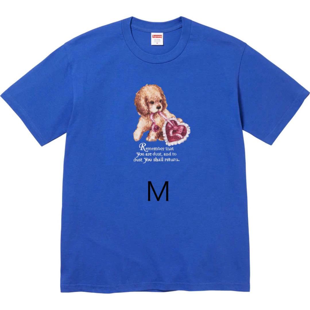 トップス Supreme Dust Tee m