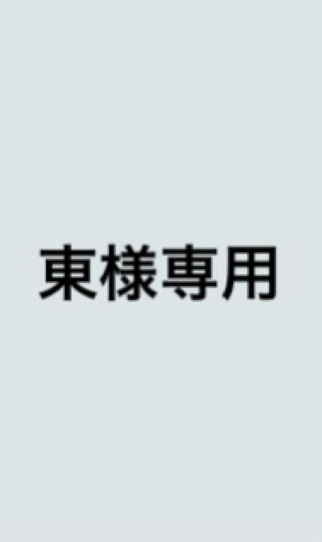 【東】アルストロメリア