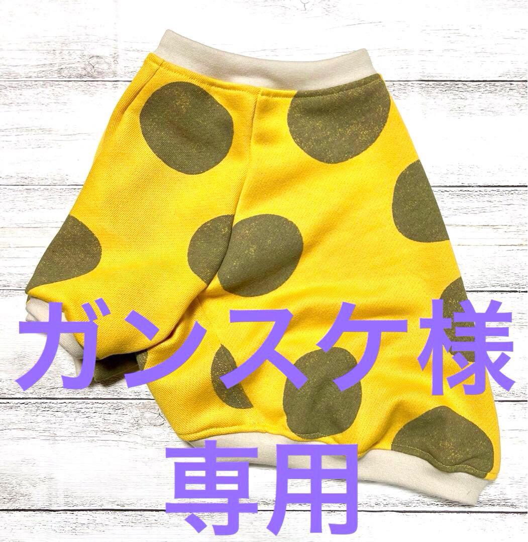 ガンスケ