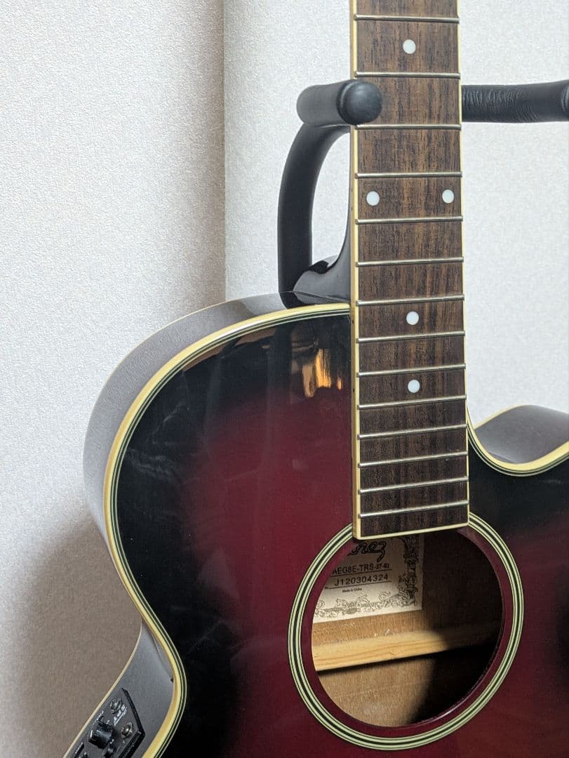 Ibanezエレアコ