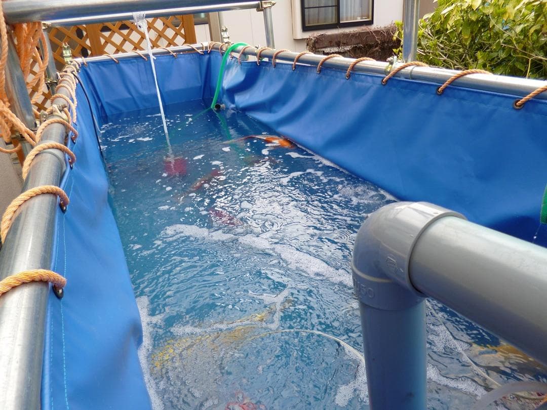 【引取限定】錦鯉用ターポリンシート池（330cm×100cm×120cm 中古）