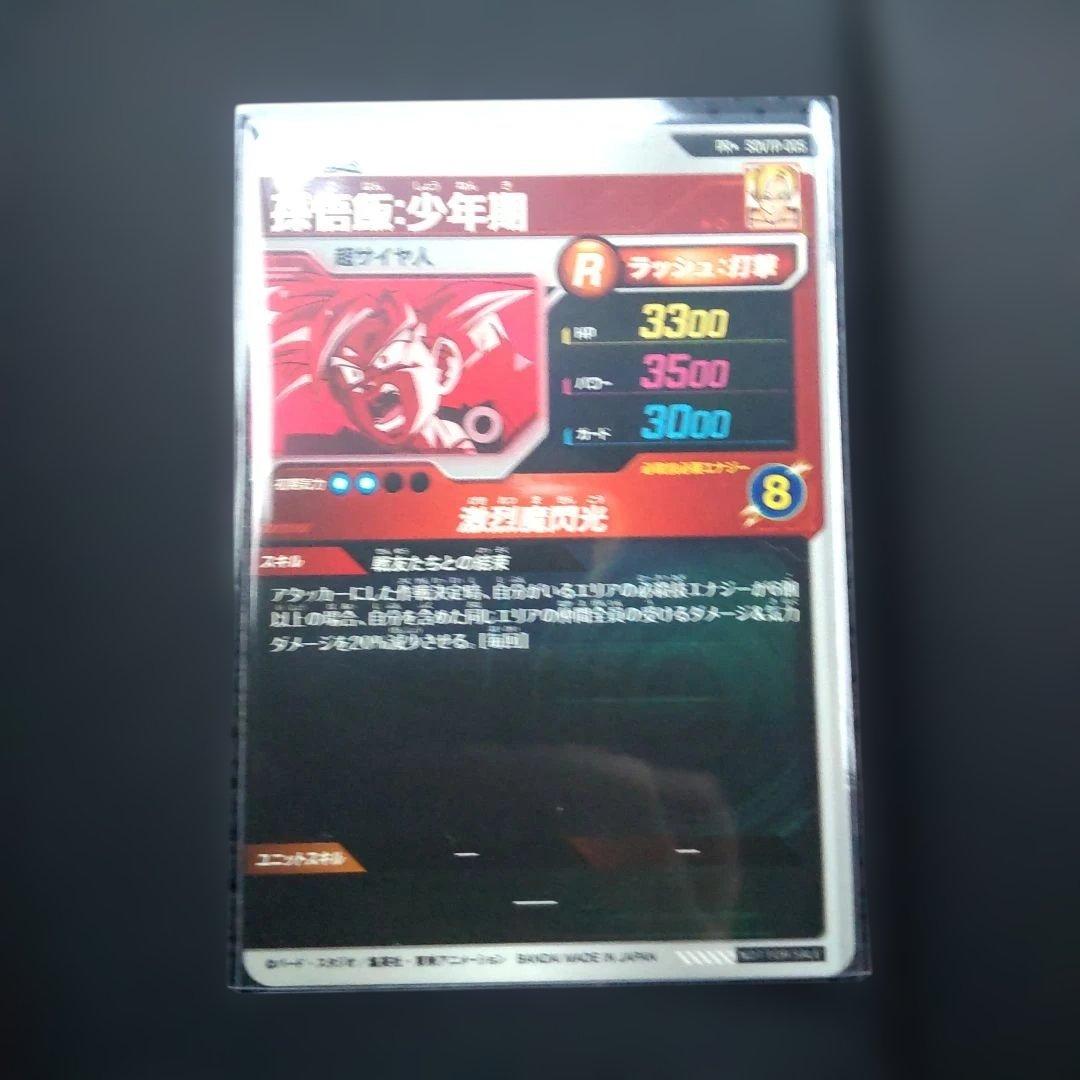 SDVTP-005　パラレル 孫悟飯 少年期 大会　スーパーダイバーズ