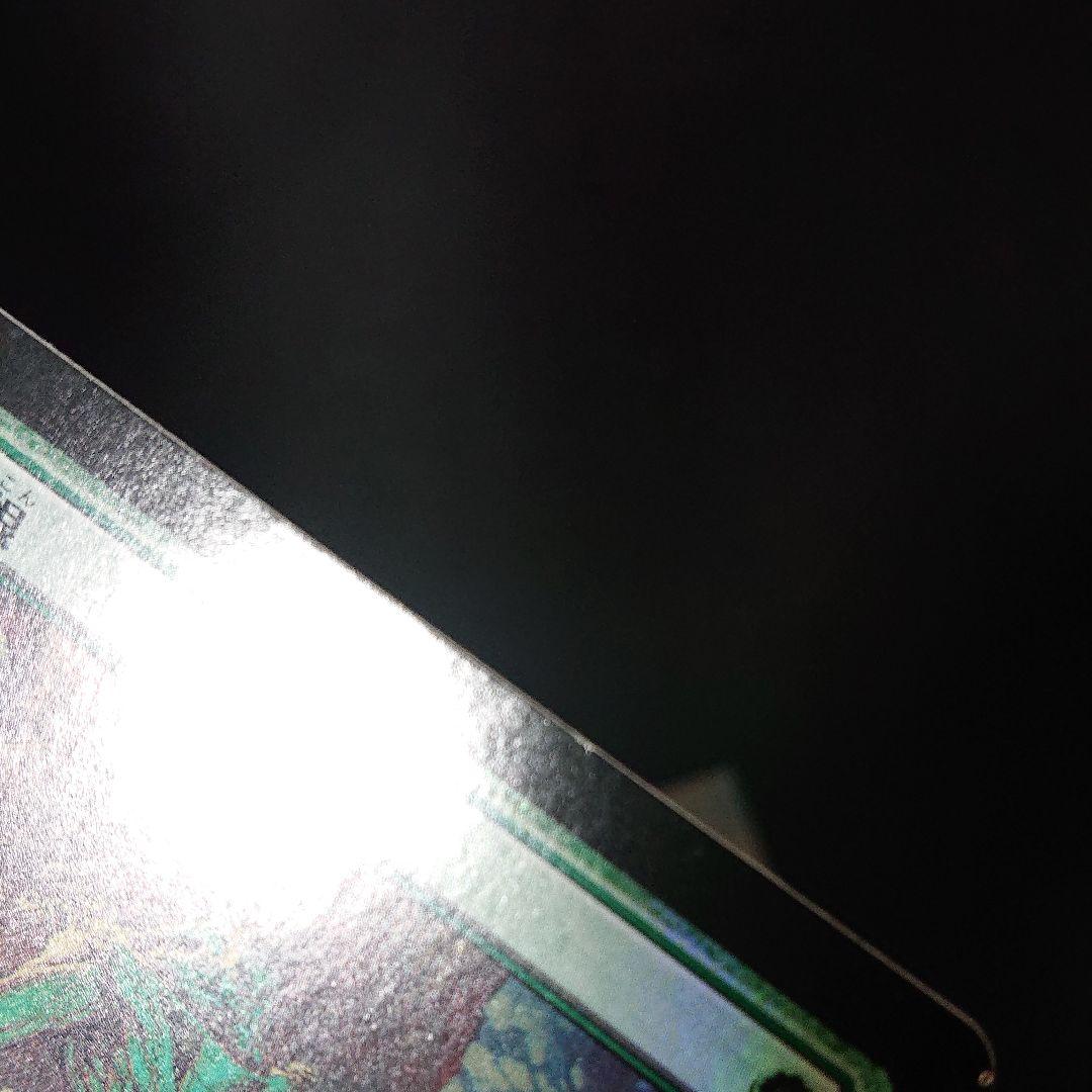 mtg 怨恨 foil エラー