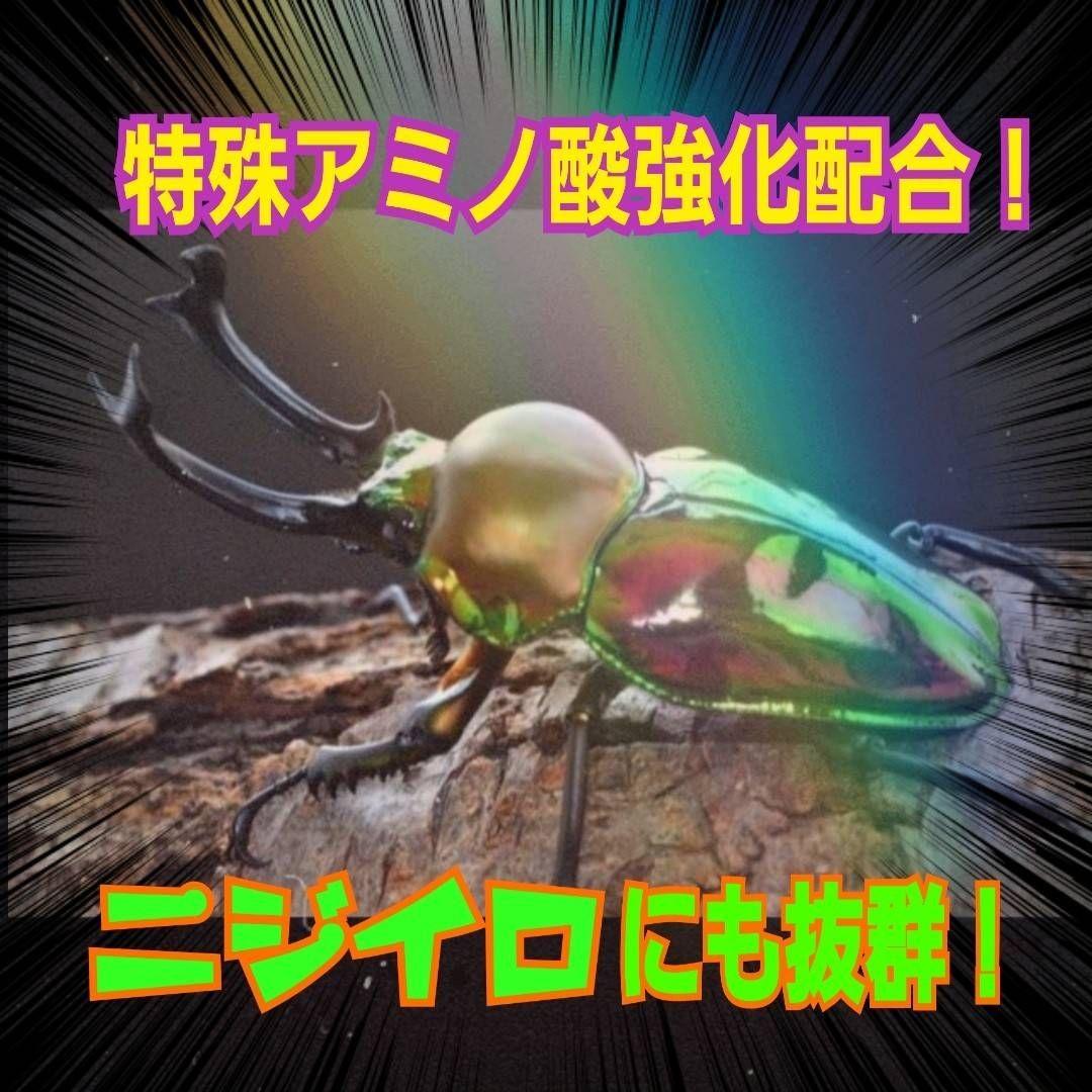 極上！オオヒラタケ菌糸瓶1100ml【8本】トレハロース、キトサン強化配合