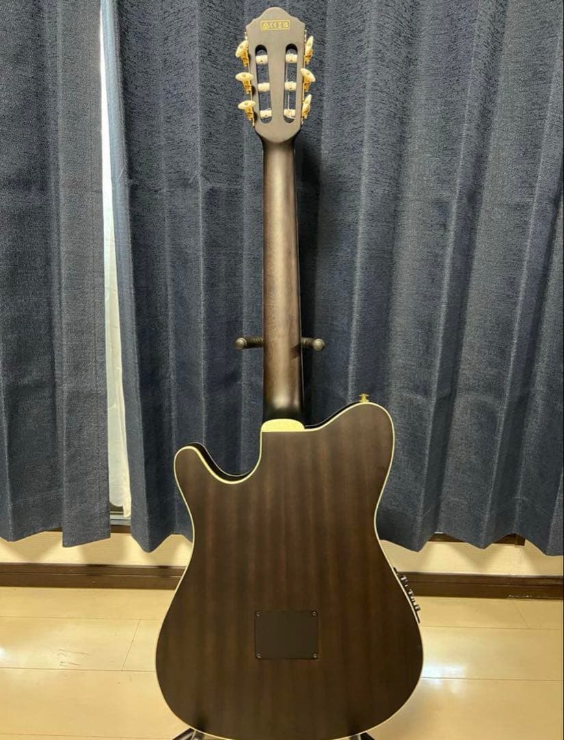 Ibanez TOD10N Tim Henson シグネチャー エレガットギター
