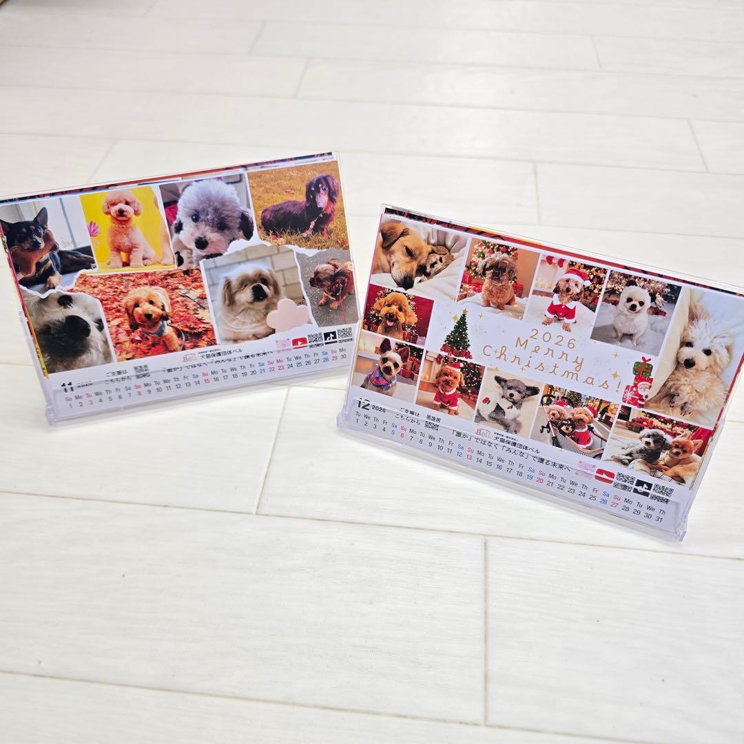 ③『犬』 卓上チャリティーカレンダー10枚セット