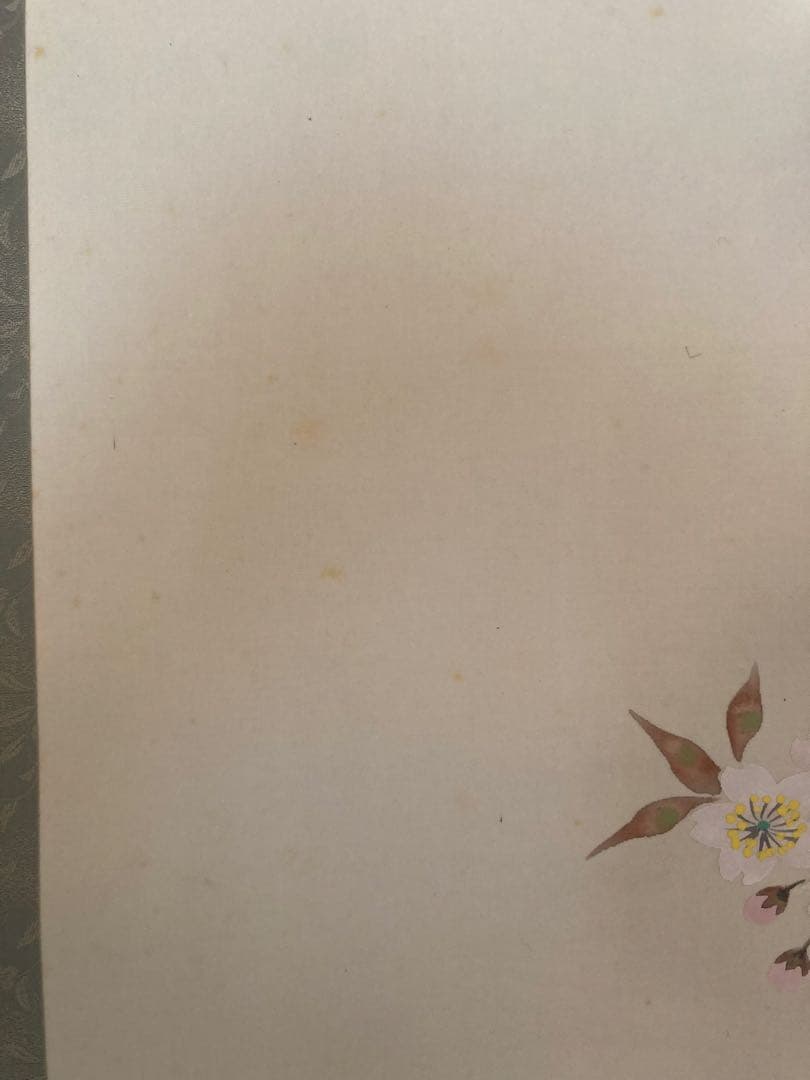 掛け軸 「 桜」箕輪虹遊 作　三越美術館 ☆ USED