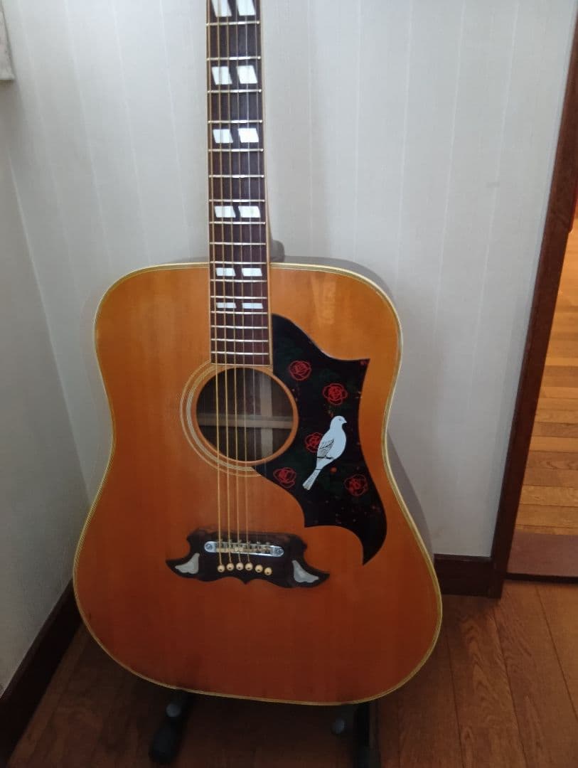 Doveタイプ アコースティックギター 70年代ジャパビン クリーニング済み