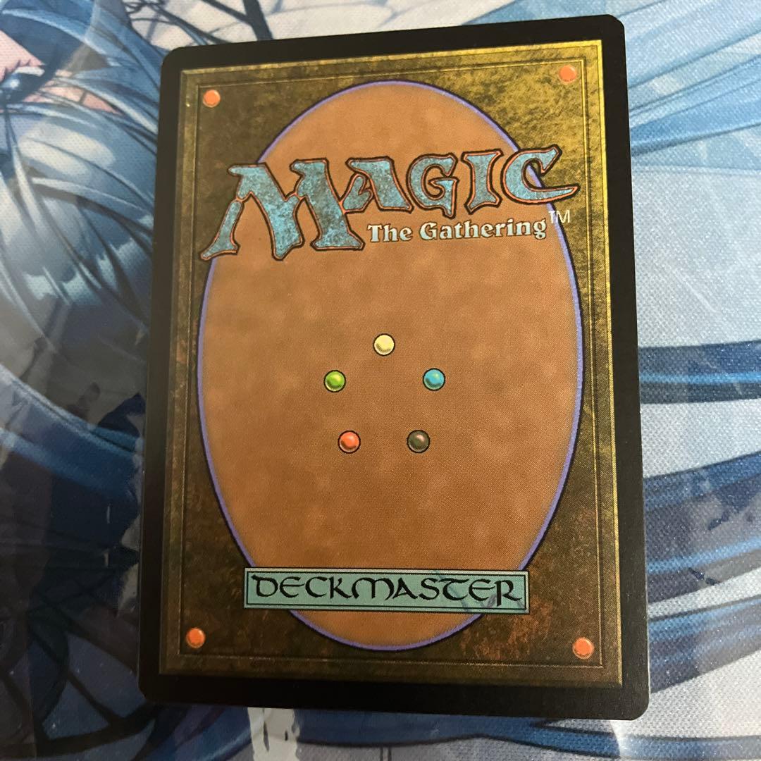 MTG 湿地の干潟