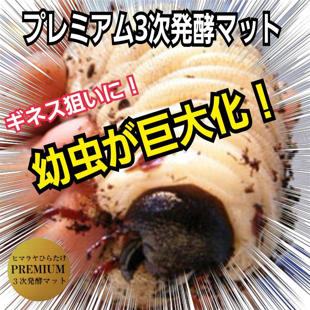 極上！プレミアム3次発酵カブトムシマット【40L】ヘラクレス181ミリ羽化実績！